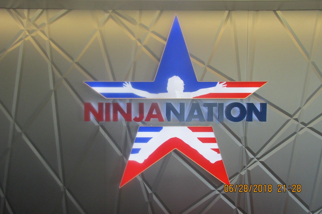 Ninja Nation graphic design
